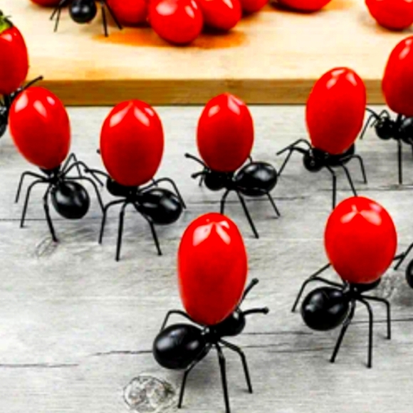 ANT FOOD PICKS (12) PIECE - Picture 1 of 6